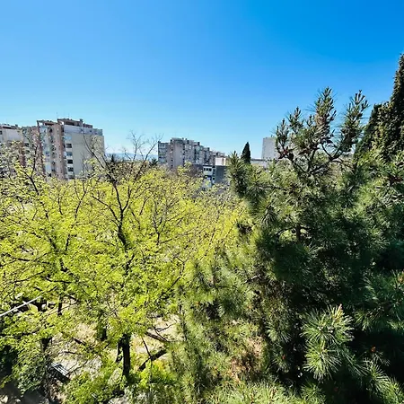 Daire Designer Frame *